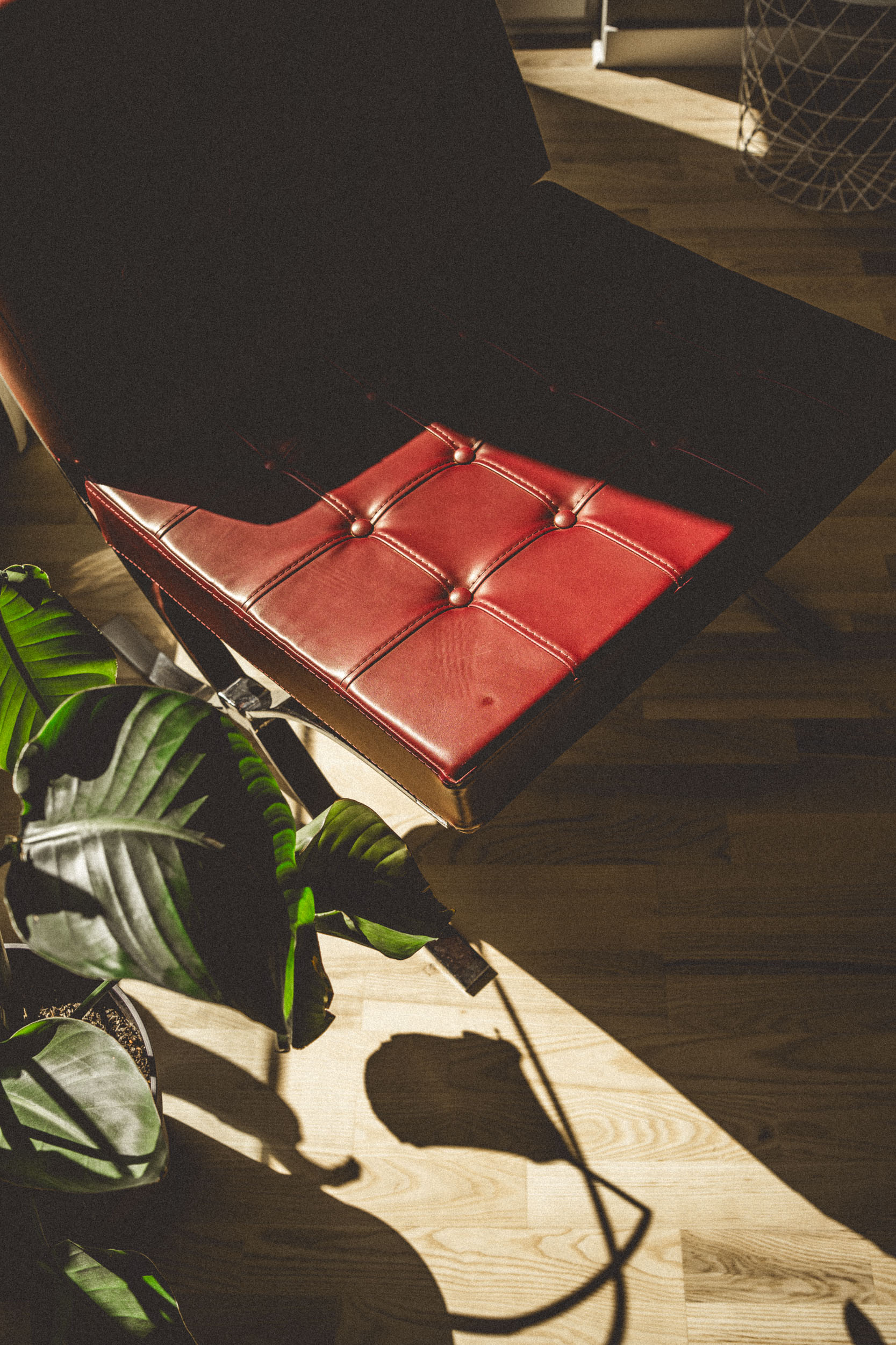 Fotografia wnętrz Gdańsk, Fotograf wnętrz Gdynia, Fotografia wnętrz Sopot, Zdjęcia wnętrz Trójmiasto, Fotografia mieszkań, Profesjonalne zdjęcia domów, Fotograf wnętrz dla architektów